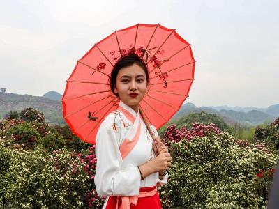 100-li Azalea National Forest Park Guizhou