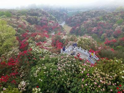 Guizhou 100-li Scenic Area 