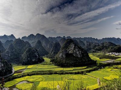 Guizhou Forest of Ten Thousand Peaks