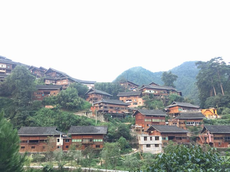 Lower Langde Miao Village 