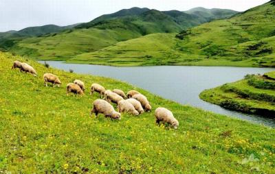 Wumeng Prairie