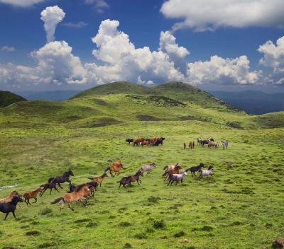 Wumeng Prairie