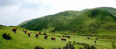 Wumeng Prairie