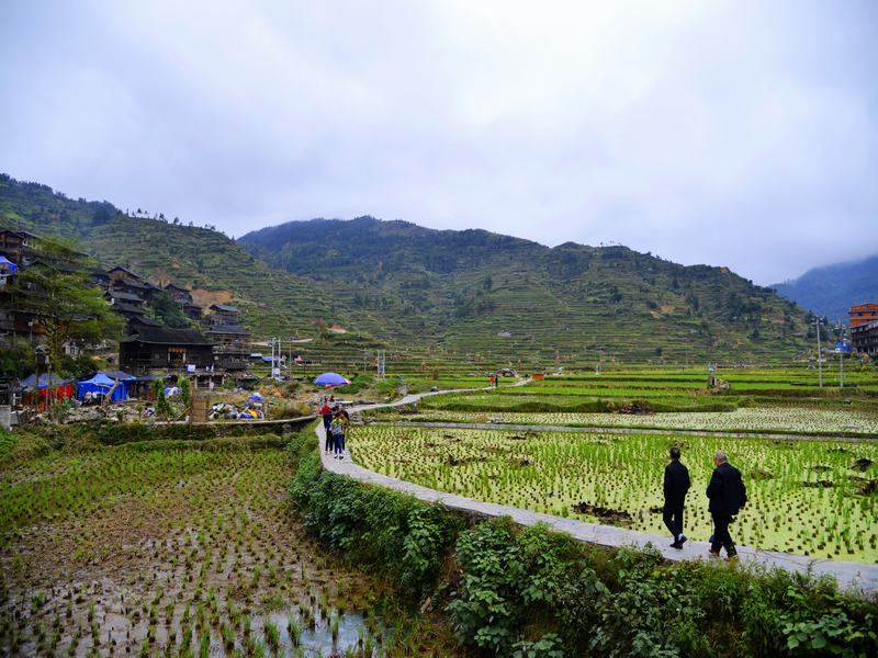 Xijiang Qianhu Miao Village