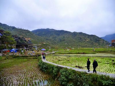 Xijiang Qianhu Miao Village